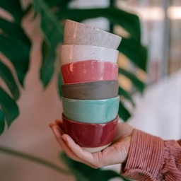 DEVELOEPER - Pretlak logo